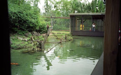 Wildlife Park «Monkey Jungle», reviews and photos, 14805 SW 216th St, Miami, FL 33170, USA