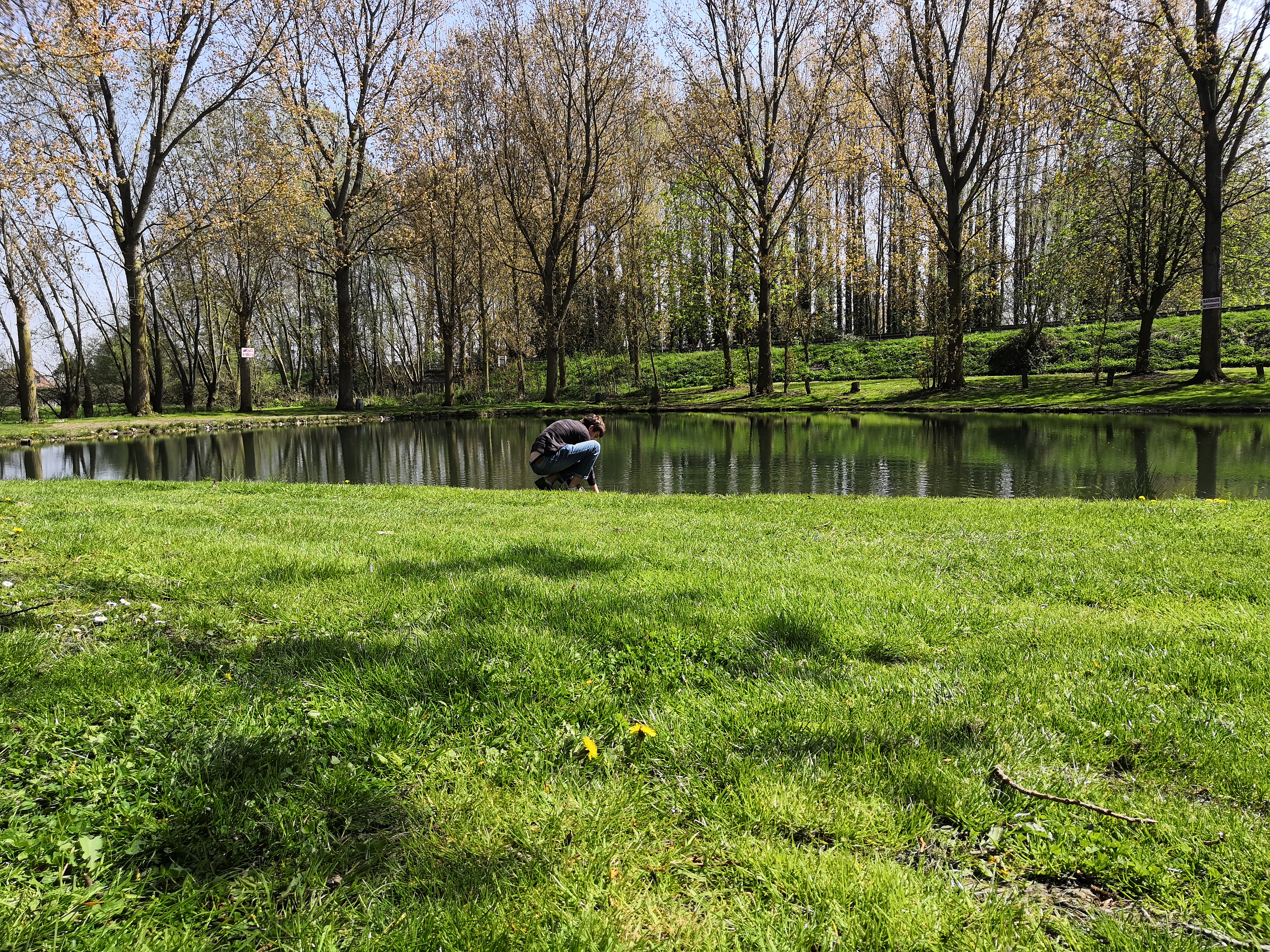 Photo n° 1 de l'avis de Thomas.u fait le 27/04/2019 à 14:33