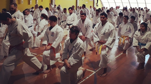 Bushin Dojo Karate Do y Kobu Do - Sede Congreso