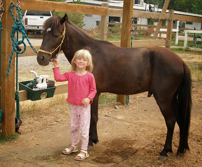Hillside Riding Stables, Lessons & Horse Camps
