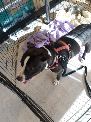 Pet Supply Store «PetSmart», reviews and photos, 2435 NW Federal Hwy, Stuart, FL 34994, USA