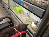 Petco - Photo 2 - Car repair in Shrewsbury, MA, Worcester