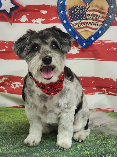 Pet Groomer «One Stop Pet Shop Inc», reviews and photos, 1375 Chestnut St # 103, Emmaus, PA 18049, USA