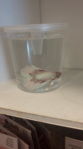 Pet Supply Store «Pet Supplies Plus», reviews and photos, 2600 McFarland Blvd E U, Tuscaloosa, AL 35405, USA