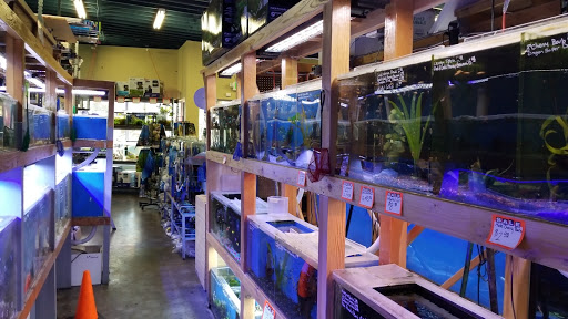 Tropical Fish Store «The Fish Store», reviews and photos, 12320 Lake City Way NE, Seattle, WA 98125, USA