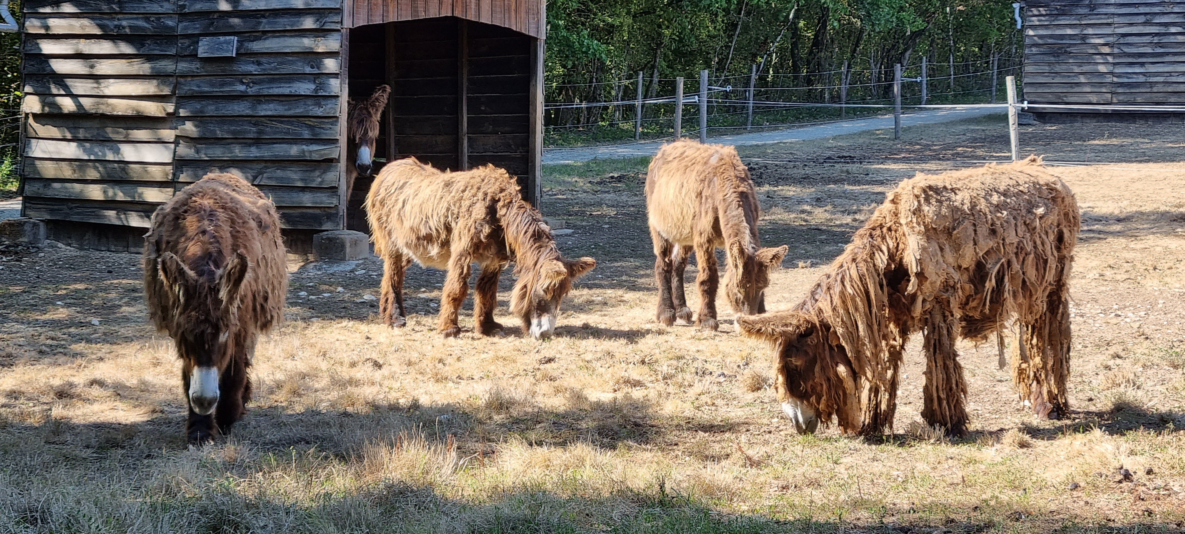 Photo n° 4 de l'avis de Caroline. fait le 11/08/2022 à 15:13