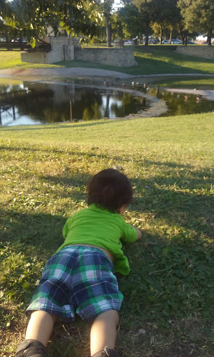 Recreation Center «Huffhines Recreation Center», reviews and photos, 200 N Plano Rd, Richardson, TX 75081, USA