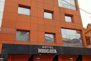 Hotel Mrigaya image