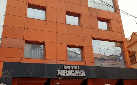 Hotel Mrigaya image