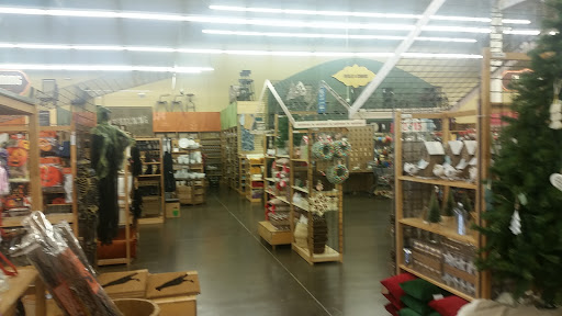 Furniture Store «Cost Plus World Market», reviews and photos, 885 S Cotton Ln, Goodyear, AZ 85338, USA