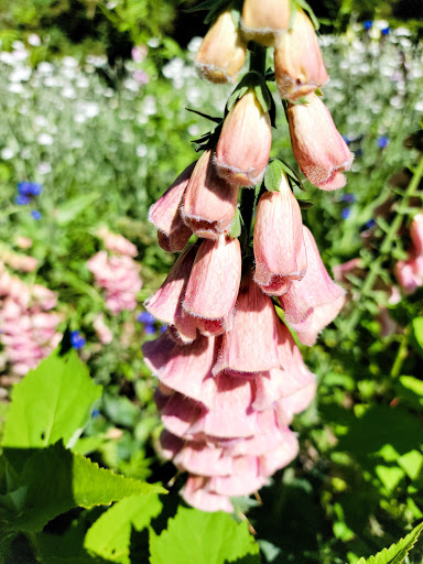 Historical Place «Locust Grove Estate», reviews and photos, 2683 South Rd, Poughkeepsie, NY 12601, USA