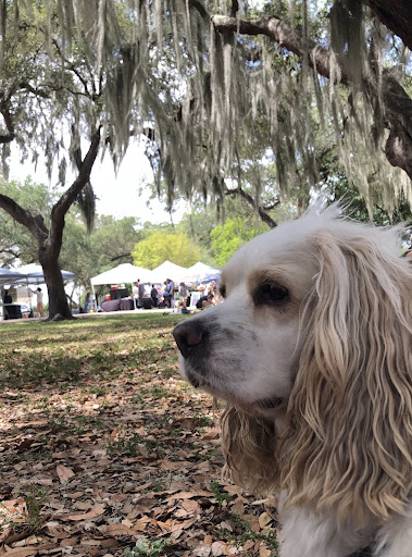 American Restaurant «Upper Eastside Farmers Market», reviews and photos, 6599 Biscayne Blvd, Miami, FL 33138, USA