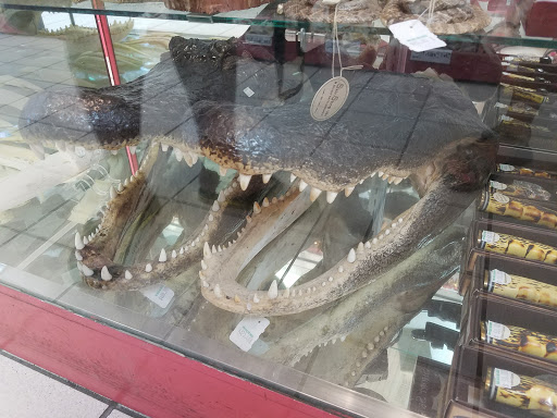 Gift Shop «She Sells Sea Shells», reviews and photos, 1157 Periwinkle Way, Sanibel, FL 33957, USA