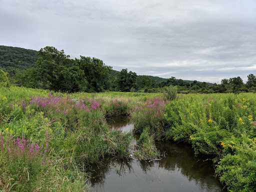 Nature Preserve «Macricostas Preserve», reviews and photos, 121 Christian St, New Preston, CT 06777, USA