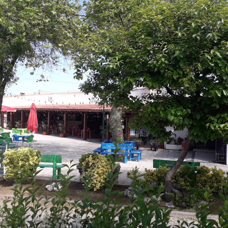 3 image