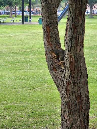 Park «Armstrong Park», reviews and photos, 100 James Collins Blvd, Duncanville, TX 75116, USA
