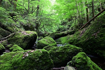 竜神川