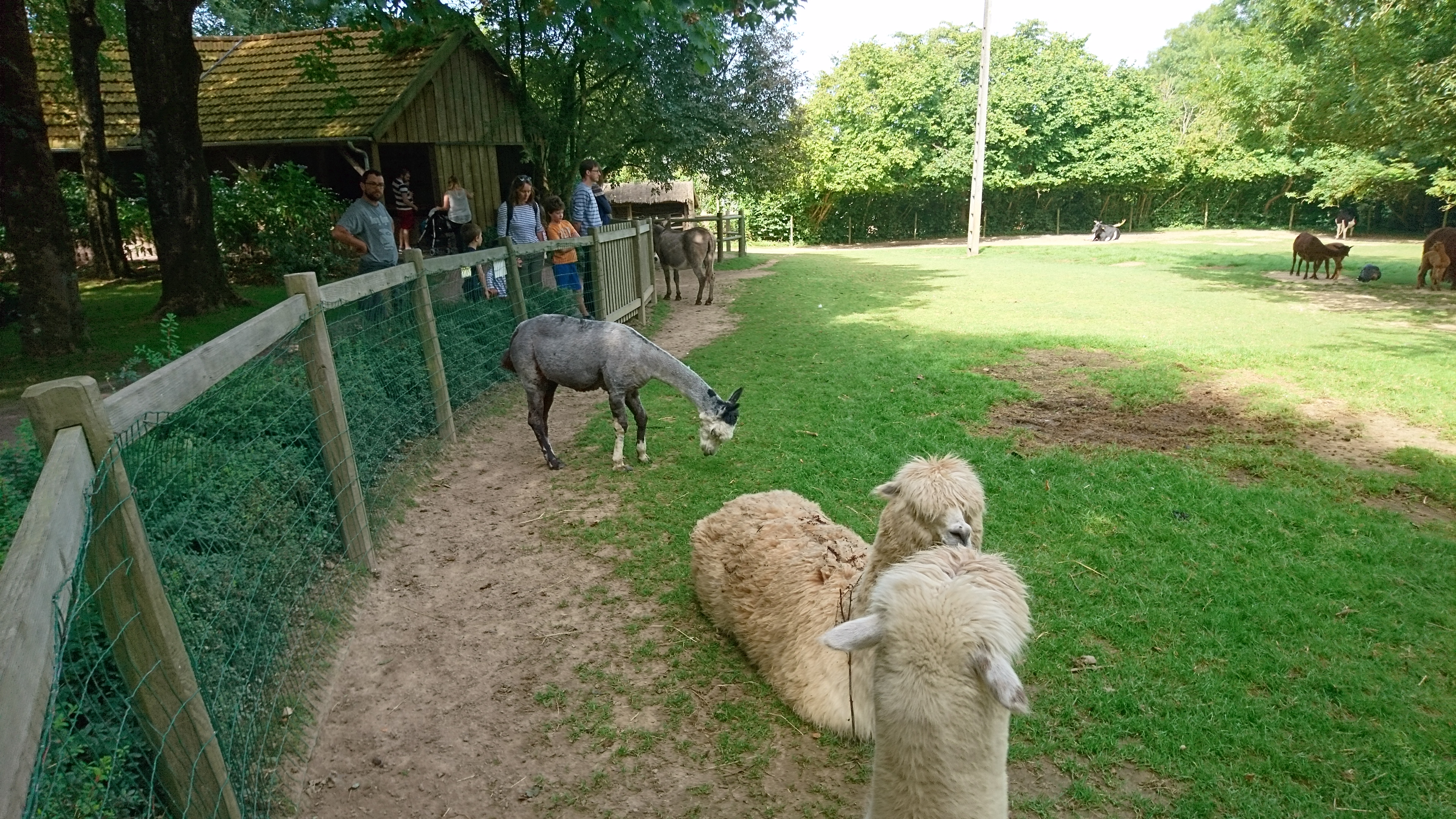 Photo n° 5 de l'avis de Philippe.e fait le 07/08/2017 à 14:04