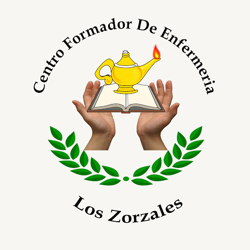 Centro Formador De Enfermeria Los Zorzales