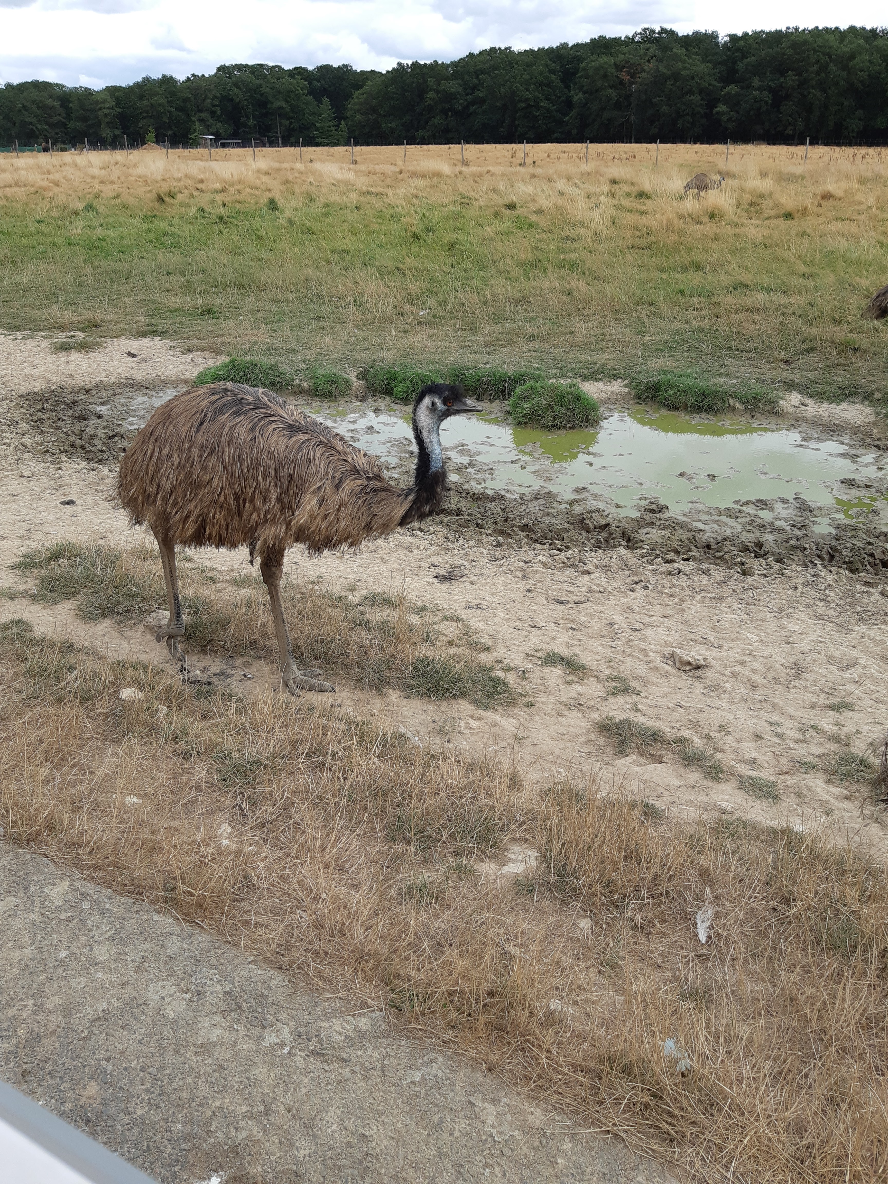 Photo n° 34 de l'avis de Carla.a fait le 10/08/2018 à 15:54