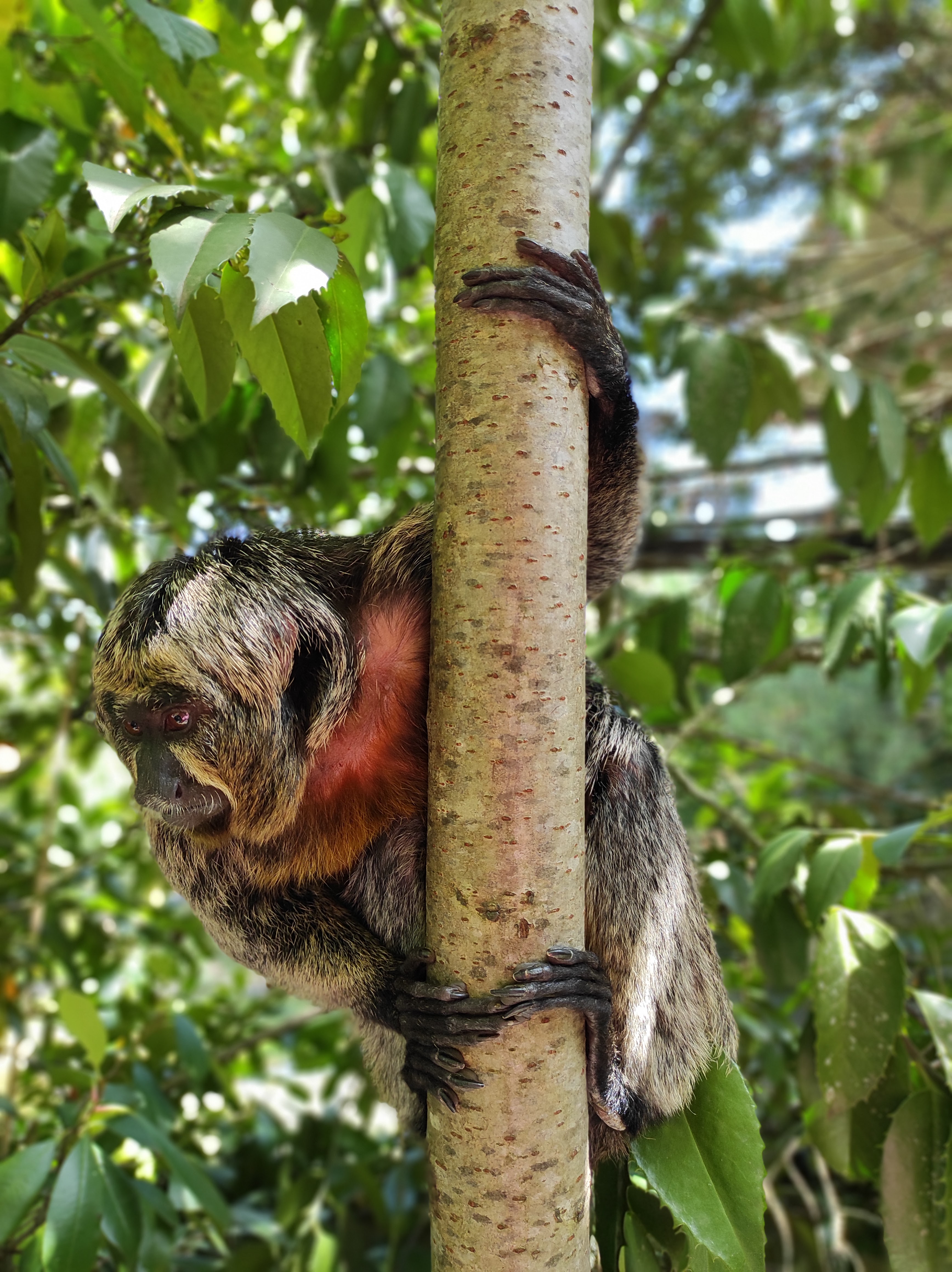 Photo n° 1 de l'avis de Nathalys.a fait le 28/07/2023 à 09:37
