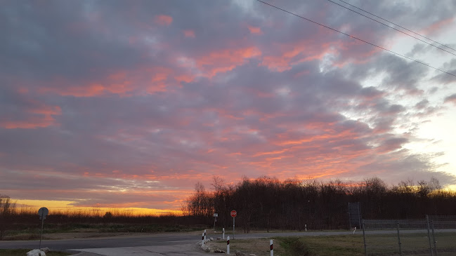 Comentarii opinii despre FCC Magyarország Kft.