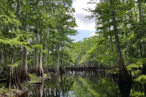 Tosohatchee Wildlife Management Area image