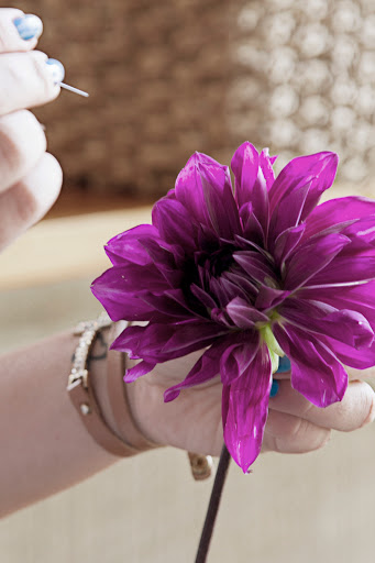 Florist «Wisteria Grove», reviews and photos, 339 E Arrow Hwy, Claremont, CA 91711, USA