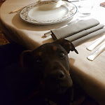 Photo n°1 de l'avis de Giuseppe.o fait le 28/02/2020 à 23:17 sur le  Felicin - Ristorante Albergo Dimora Storica” à Monforte d'Alba