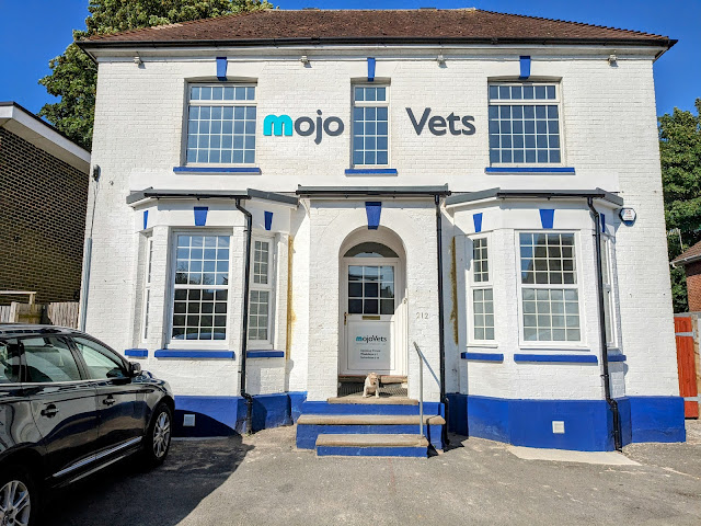 MojoVets