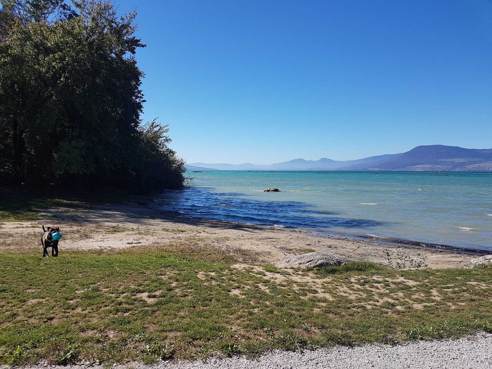 Photo de Forel plage avec sable lumineux de surface