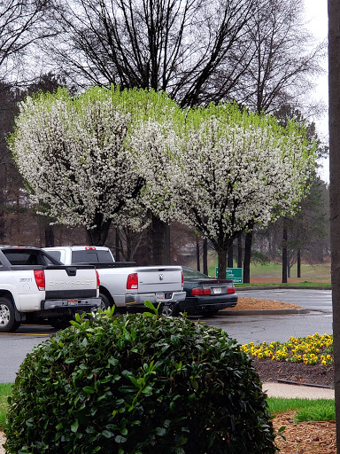 American Restaurant «Cracker Barrel Old Country Store», reviews and photos, 2140 Mana Ct, Rock Hill, SC 29730, USA