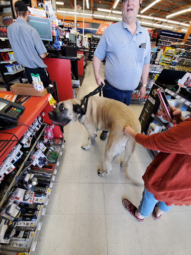 Auto Parts Store «AutoZone», reviews and photos, 21610 N 35th Ave, Glendale, AZ 85308, USA