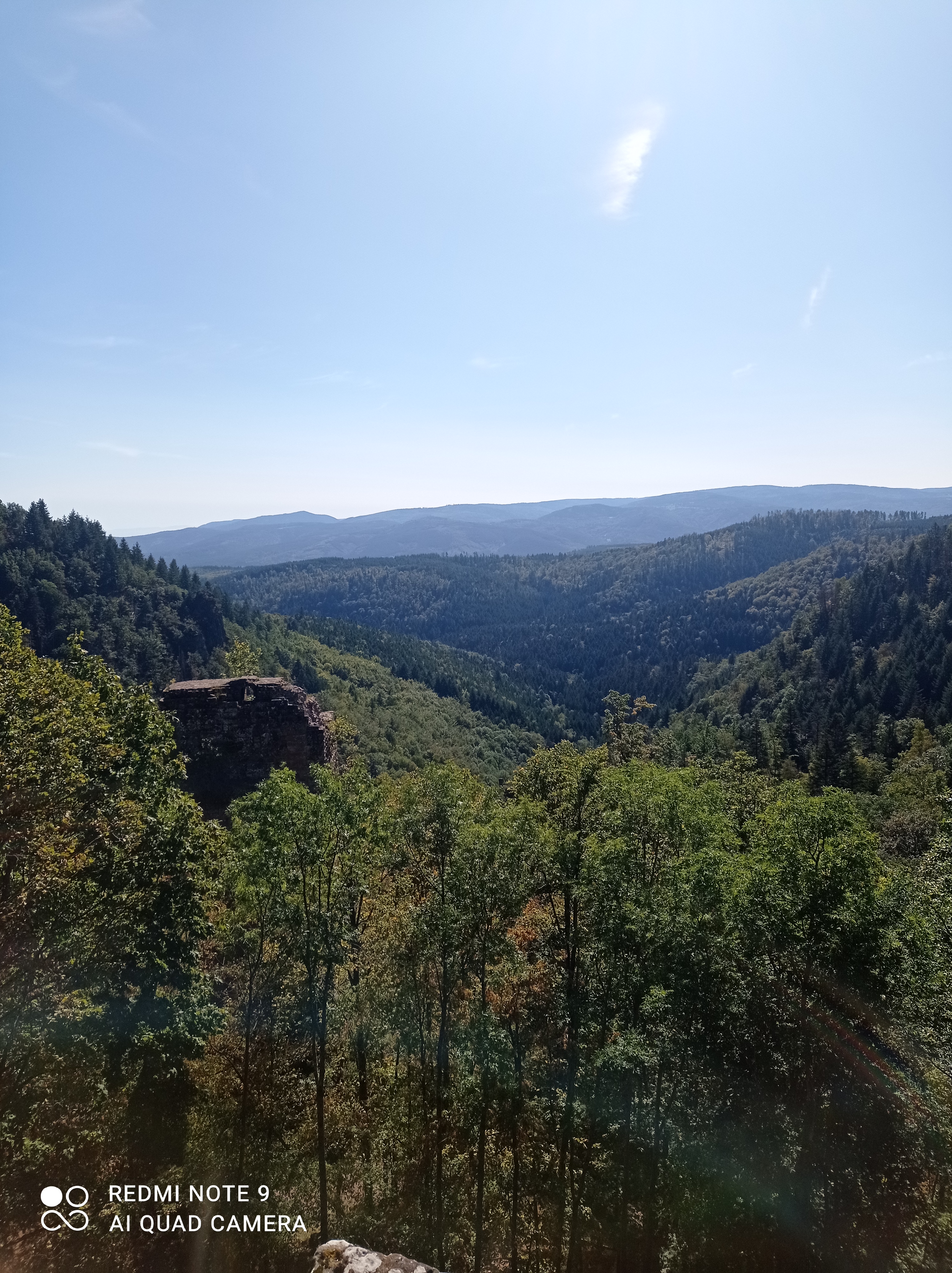 Photo n° 3 de l'avis de Florian.u fait le 25/09/2023 à 13:11