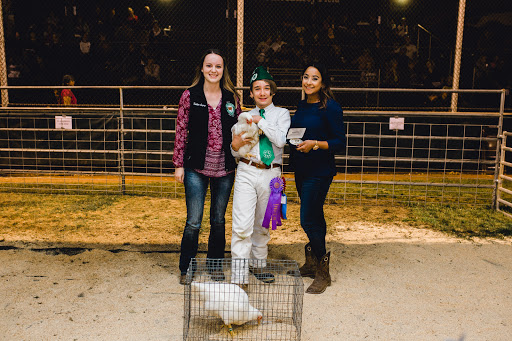 Healdsburg Veterinary Hospital image