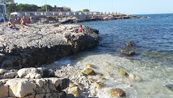 Gatto Verde Beach'in fotoğrafı çok temiz temizlik seviyesi ile