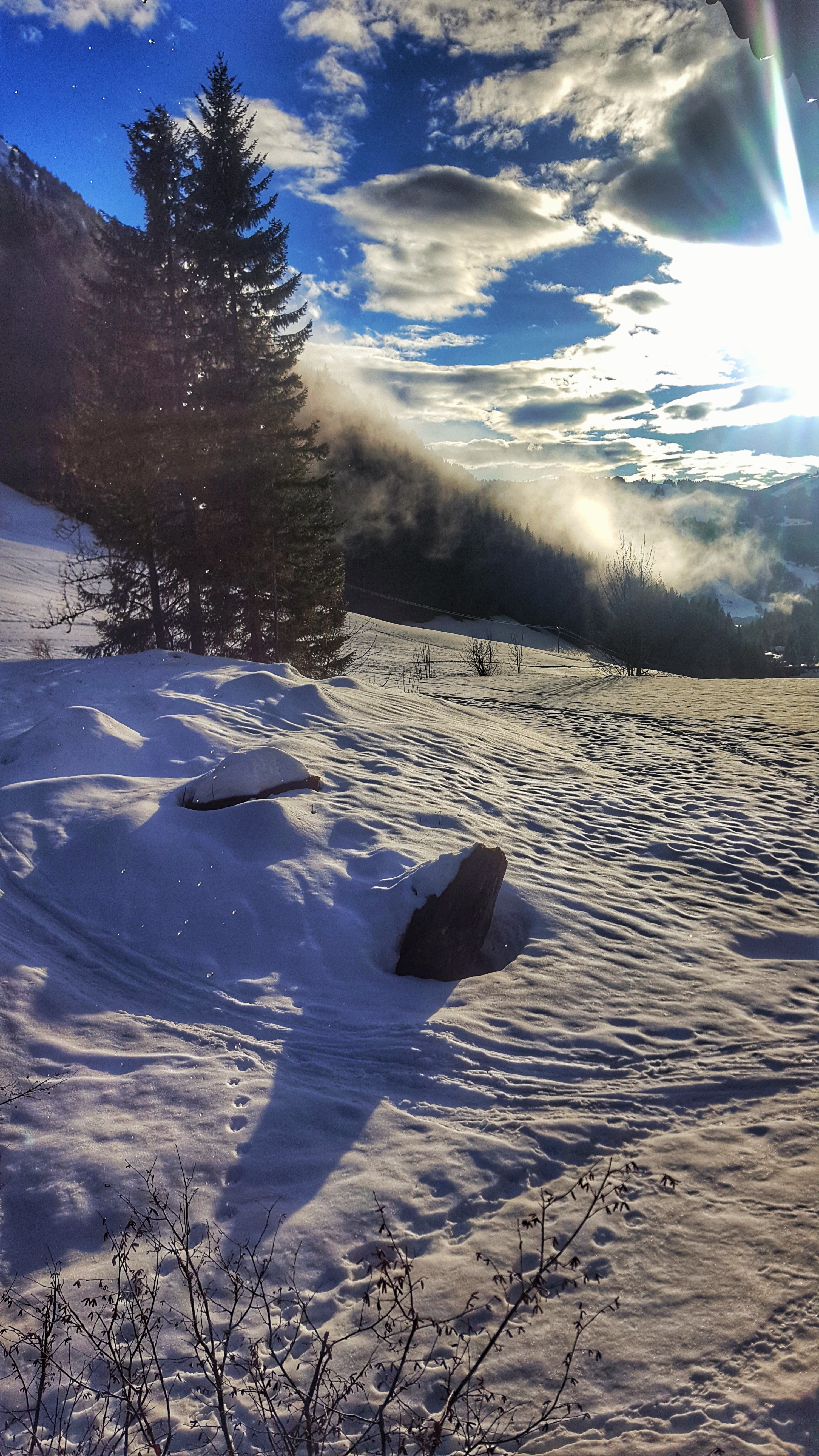 Photo n° 4 de l'avis de Chris.x fait le 30/03/2018 à 07:22