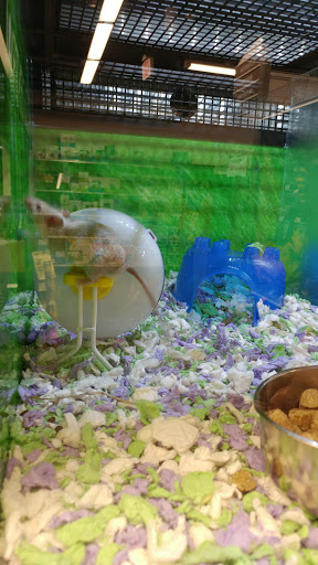 Pet Store «PetSmart», reviews and photos, 2891 Ygnacio Valley Rd, Walnut Creek, CA 94598, USA