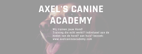 Axel's Canine Academy