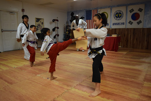 Master Academy Tae Kwon Do