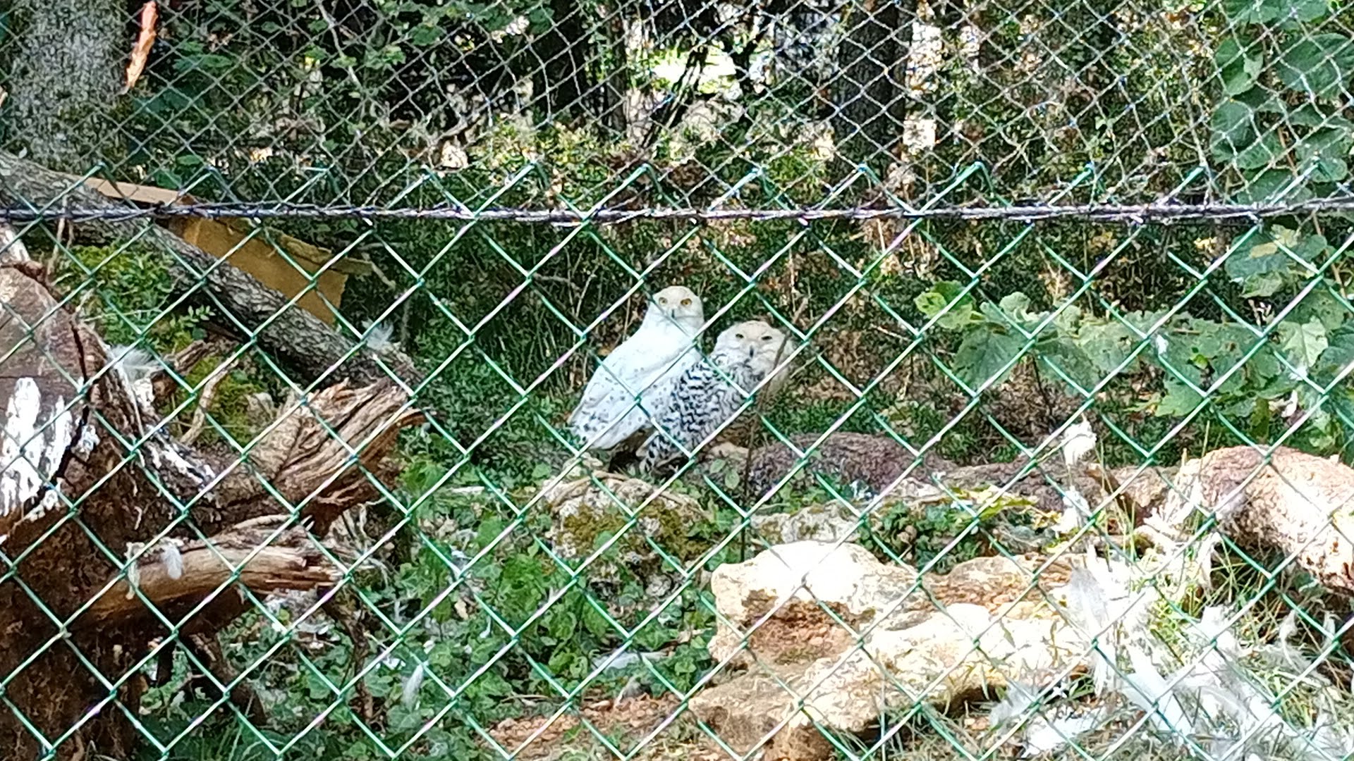 Photo n° 2 de l'avis de Sandra.e fait le 03/08/2020 à 11:13