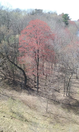 Country Club «Eau Claire Golf & Country Club», reviews and photos, 828 Club View Ln, Altoona, WI 54720, USA