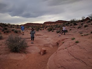Warner Valley Dinosaur Track Site - photo 86