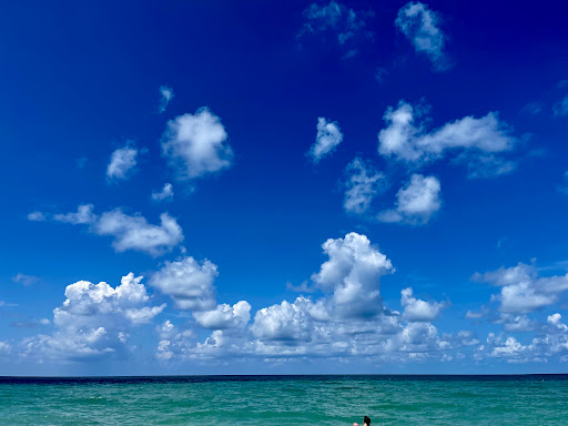 Winery «Sunset Meadow Vineyards», reviews and photos, 599 Old Middle St, Goshen, CT 06756, USA