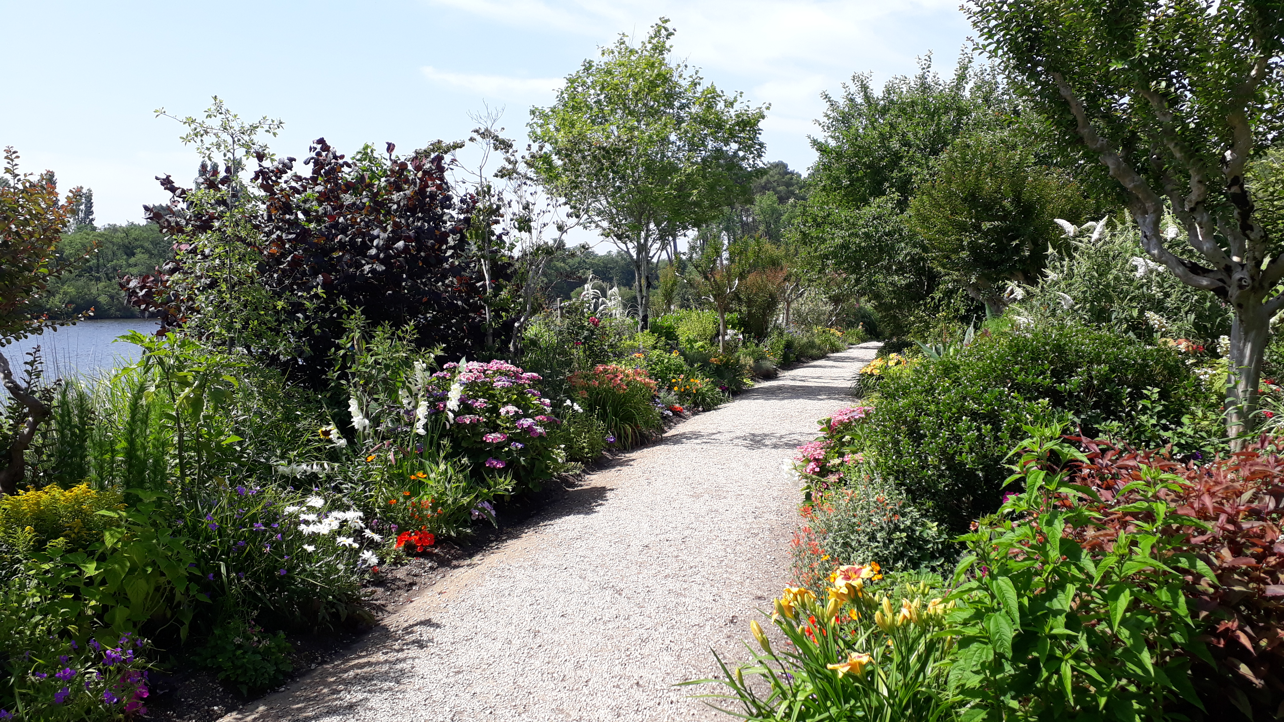 Photo n° 2 de l'avis de Stef.n fait le 27/06/2019 à 11:19