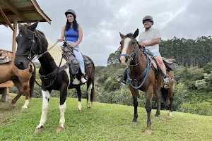 Wailea Horseback Adventure - Waipio Ridge Stables LLC image