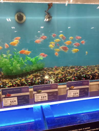 Pet Supply Store «PetSmart», reviews and photos, 5650 Mercury Dr, Dearborn, MI 48126, USA