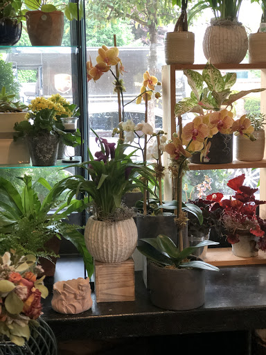 Florist «Lotus Petals Floral Design», reviews and photos, 92 Baker St, Maplewood, NJ 07040, USA