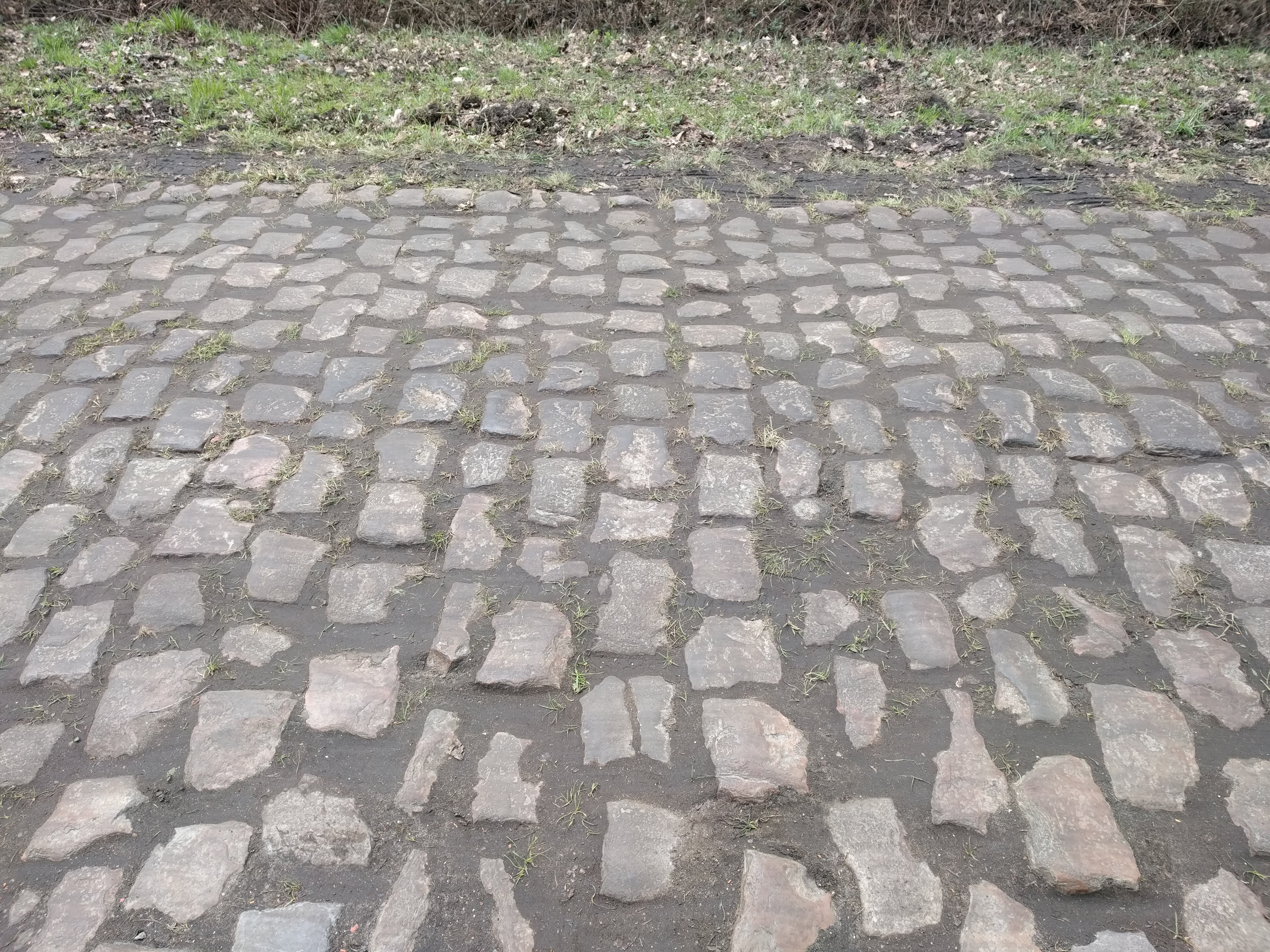Photo n° 1 de l'avis de BERTRAND.U fait le 19/04/2019 à 12:33