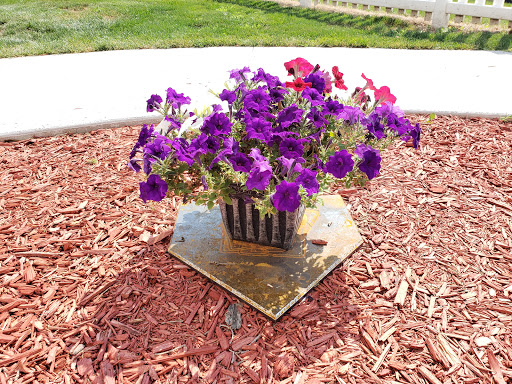 Tourist Attraction «Field of Dreams Movie Site», reviews and photos, 28995 Lansing Rd, Dyersville, IA 52040, USA